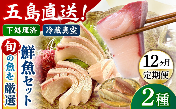【全12回定期便】金澤仕立て 鮮魚ボックス 旬の魚2種 鮮魚 簡単 旬 海鮮 真空 冷蔵 五島市/金沢鮮魚 [PEP011]