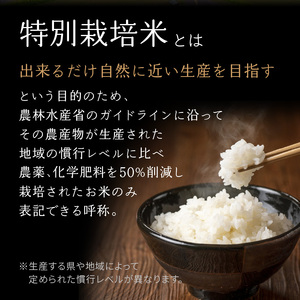 【定期便3か月】特別栽培米 京都府木津川市産ひのひかり 玄米30kg(10kg×3回） 毎日の健康に 053-38