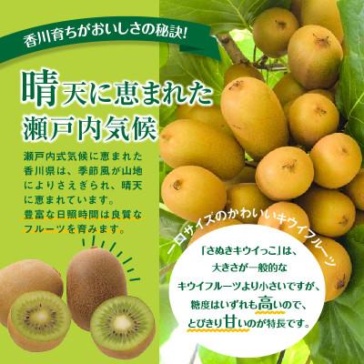 ふるさと納税 高松市 【先行受付2024年】さぬきキウイっこ　約2kg |  | 01