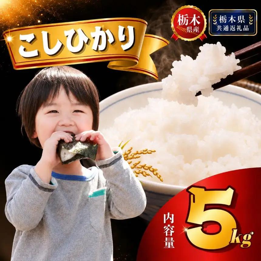 栃木県産 コシヒカリ 5kg【栃木県共通返礼品 栃木県産】AB | 栃木県 下野市