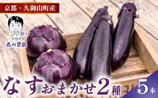 季節限定 京都 なす 2種類 おまかせ 5本 （加茂なす ふわとろ長なす 水なす フルーツなす 千両なす からおまかせ）ナス 京都府 夏野菜 天ぷら 揚げ物 マーボー バーベキュー 焼き肉 夏 久御山町 久御山 レシピ 人気 野菜