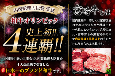 【最短2週間以内で発送】生産者応援 数量限定 宮崎牛 ロース 焼きしゃぶ 計600g 牛肉 ビーフ 黒毛和牛 ミヤチク 国産 ブランド牛 食品 おかず おすすめ 贅沢 イベント お取り寄せ グルメ パ