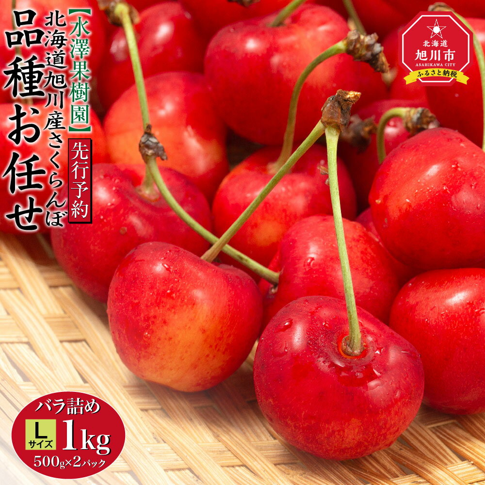 【ふるさと納税】水澤果樹園 「品種お任せ」 Lサイズ バラ詰め1kg（500g×2パック）（2025年6月末より発送予定）_01179 | 佐藤錦 紅秀峰 南陽 べにてまり 紅香 天香錦 紅きらり 大将錦 果物 くだもの フルーツ 北海道産 旭川産