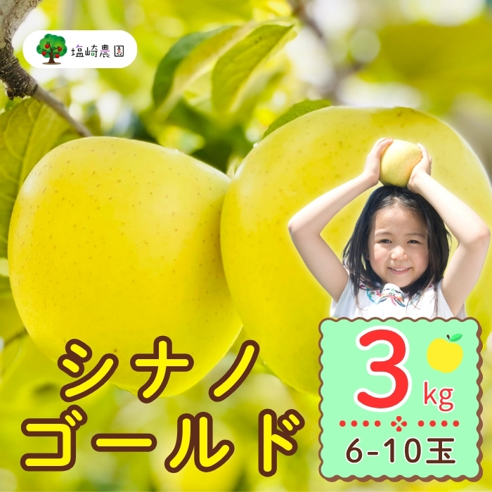 【先行予約】シナノゴールド　約3kg（6-10玉）（7-A25-1）
