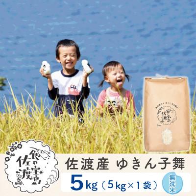 ふるさと納税 佐渡市 【毎月定期便】佐渡島産ゆきん子舞 無洗米5Kg 〜栽培期間中の農薬5割減〜全6回