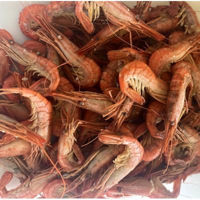 ふるさと納税 池田町 【冷凍】国産 北海縞海老(シマエビ) ボイル済み 500g(Sサイズ:40〜44尾) |  | 01