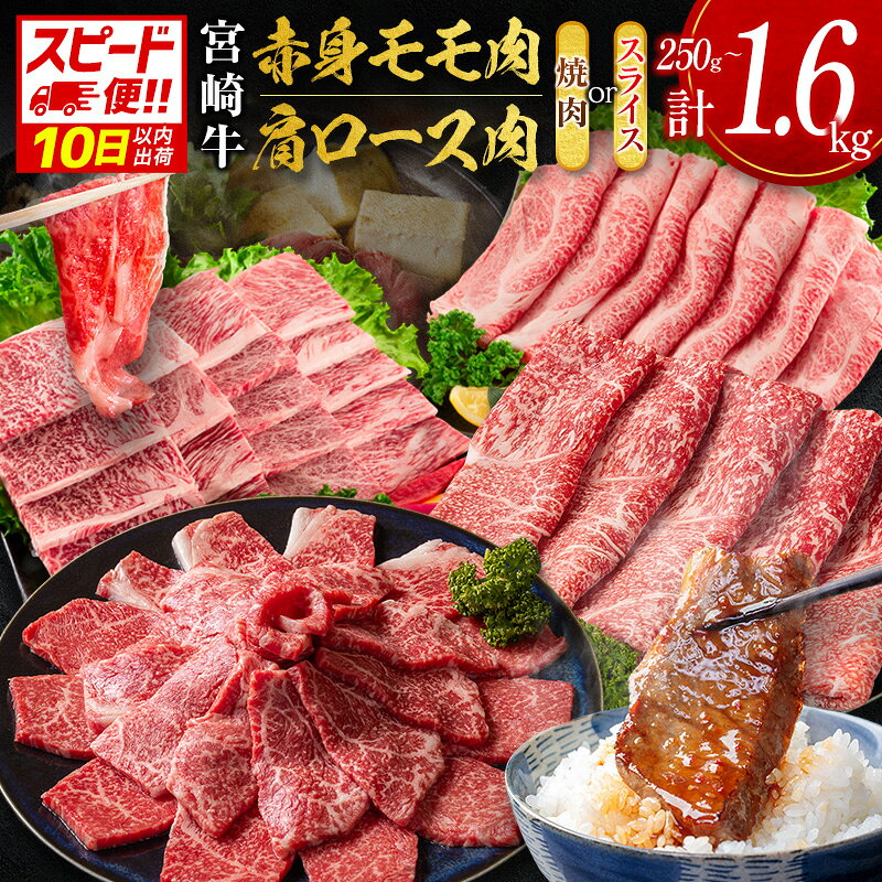 【ふるさと納税】＜10日以内出荷＞宮崎牛 モモ 赤身肉 or 肩ロース（焼肉 or スライス）計250g～計1.6kg 国産 牛肉 数量限定 年内配送 畜産農家応援［選べる配送期間＆内容量］