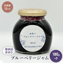【ふるさと納税】【定期便12カ月】北海道 豊浦町産 無添加手作り ブルーベリージャム180g×3個　【定期便・ フルーツジャム 朝食 パン 手づくりジャム 】
