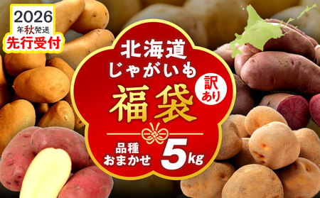 【2026年10月発送！】北海道産 じゃがいも 訳あり 5kg"お楽しみランダム"きたあかり メークイン ノーザンルビー レッドムーン 北海黄金