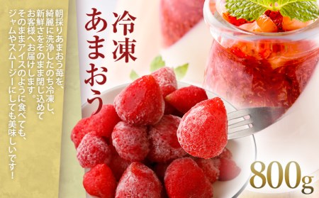 訳アリ！辛子明太子　小切1kg(100g×10p)＆あまおうセット　計1.8kg