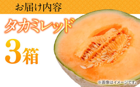 タカミメロン レッド 3箱 / メロン めろん フルーツ 果物 / 南島原市 / 南島原果物屋[SCV033]