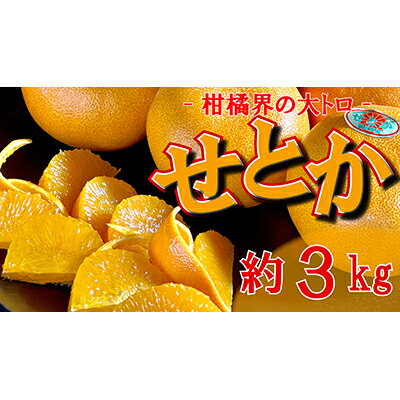 【ふるさと納税】 せとか 約3kg 柑橘界の大トロ フルーツ 果物 柑橘 柑橘類 オレンジ みかん 旬 季節のフルーツ 旬のフルーツ デザート おやつ 旬の果物 季節の果物 香川 香川県 丸亀 丸亀市 先行 予約 2026 2月以降発送開始　お届け：2026年2月1日-2026年3月31日