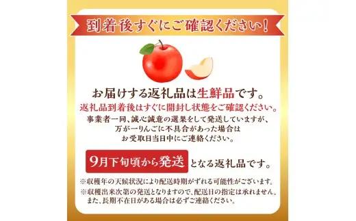 【先行予約2026年9月下旬より発送】りんご（つがる）2kg【北海道余市町産】甘口 ジューシー みずみずしい 秋果物 酸味少なめ 産地直送 しゃりっと食感 果肉やわらか_Y103-0099