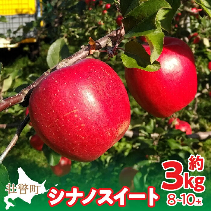【ふるさと納税】【先行予約】北海道壮瞥町産りんご「シナノスイート」約3kg(8～10玉)《2026年10月下旬よりお届け》【 りんご リンゴ 林檎 シナノスイート 蜜入り 5kg ジュース 果物 くだもの フルーツ 送料無料 おすすめ ランキング コスパ 】SBTF003