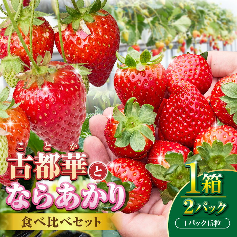 【ふるさと納税】【2026年1月上旬～3月下旬発送】古都華とならあかりの食べ比べセット 1パック×2(1パック15粒) 古都華 ことか ならあかり 食べ比べ セット 甘い 濃い 濃厚 さっぱり 果汁 ジューシー いちご 苺 イチゴ 贈答 ギフト プレゼント 冷蔵 奈良県 生駒市 送料無料
