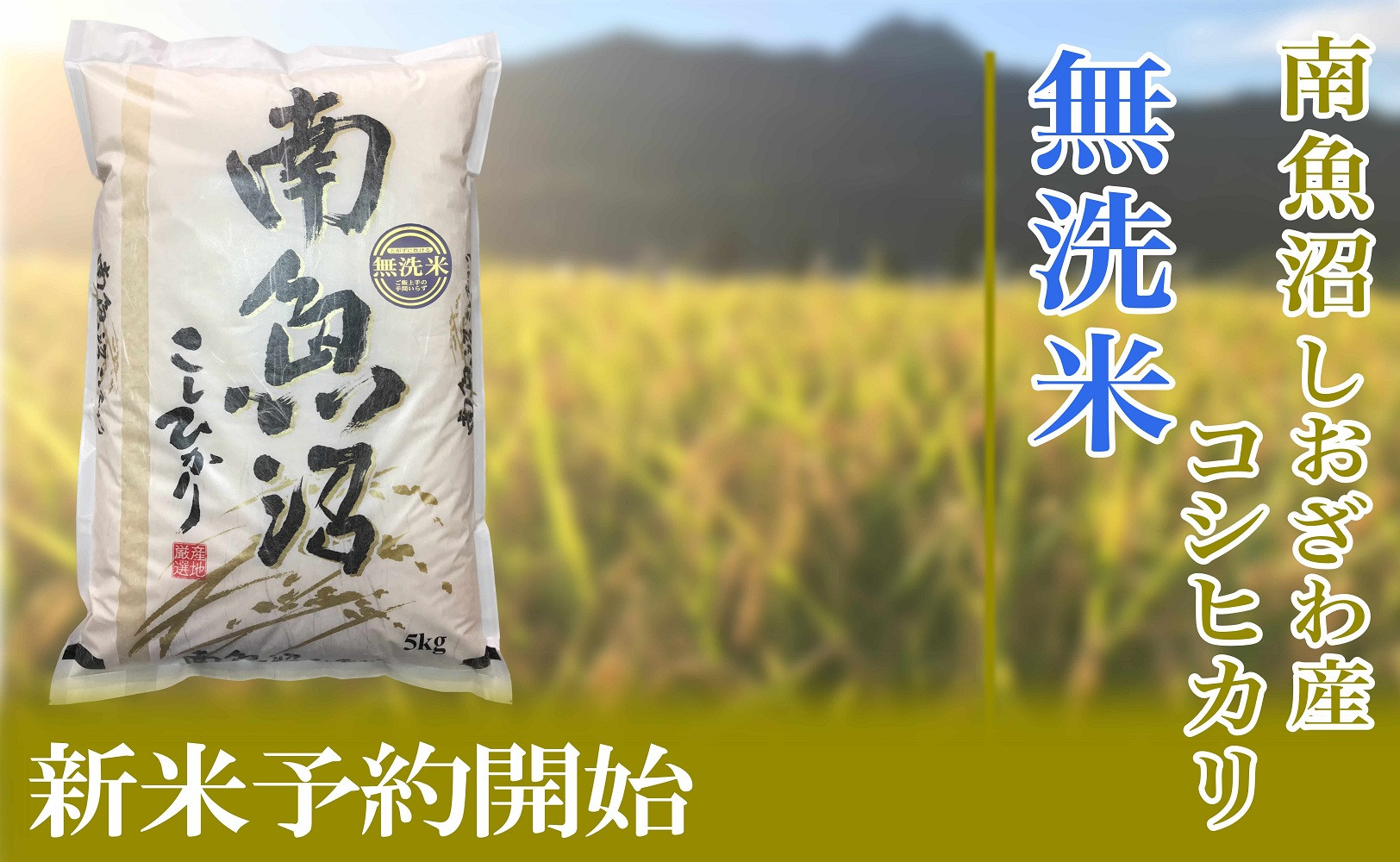 【令和8年産　新米予約】定期便12ヶ月【無洗米】2kg南魚沼しおざわ産コシヒカリ【定期便 銘柄米 ブランド米 無洗米 こしひかり コシヒカリ 魚沼産 新潟米 ごはん】【2026年10月上旬から1ヶ月以内に順次発送予定】