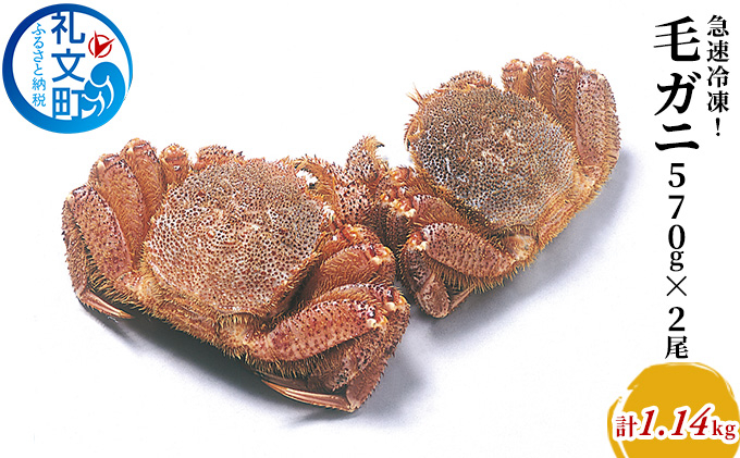 
                  北海道産 急速冷凍 ボイル 毛ガニ 約570g×2尾［株式会社やまじょう］【 かに カニ 蟹 毛蟹 毛ガニ 姿 急速冷凍 ボイル 蟹味噌 かにみそ 海鮮 北海道 お祝い 贈答 ギフト 】
                
