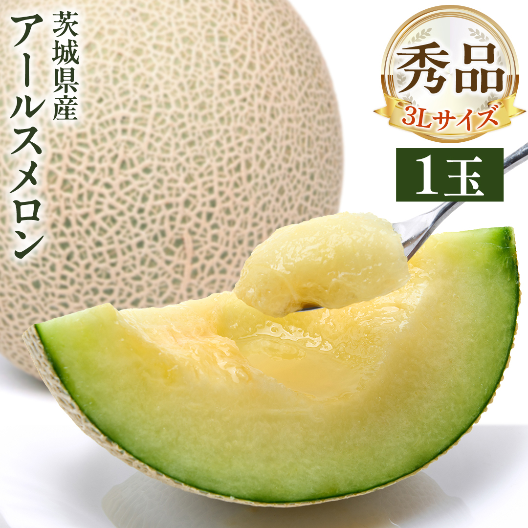 【 先行予約 】茨城県産 アールスメロン 秀品 3L サイズ × 1玉 入り 【 2026年8月下旬から発送 】 おすすめ JA全農いばらき JA 【 2026年8月下旬から発送 】 メロン めろん ふるさと納税 フルーツ 予約 マスクメロン くだもの 果物 国産旬 定番 旬 期間限定 青肉 果物