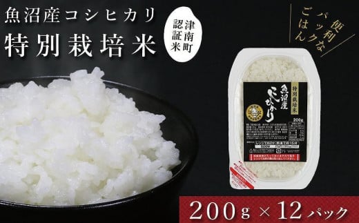 パックご飯 200g× 12袋 令和7年産 新米 魚沼産 コシヒカリ 特別栽培米 | パックライス 白飯 こしひかり 米 こめ お米 おこめ ご飯 ごはん おすすめ 人気 コスパ 新潟県 津南町