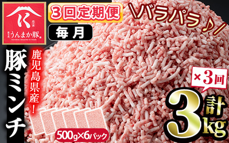 s582-A 【毎月・定期便3回】鹿児島うんまか豚ミンチ(計9kg・500g×6P×3回)鹿児島 国産 豚肉 挽肉 豚ひき肉 ミンチ 冷凍 定期便 毎月 連続月【肉の寺師】