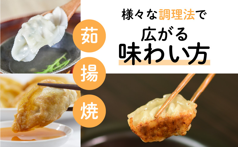 ちゃこばあちゃんの黒豚入りうんまか・しそ生餃子　計100個入り　K027-006