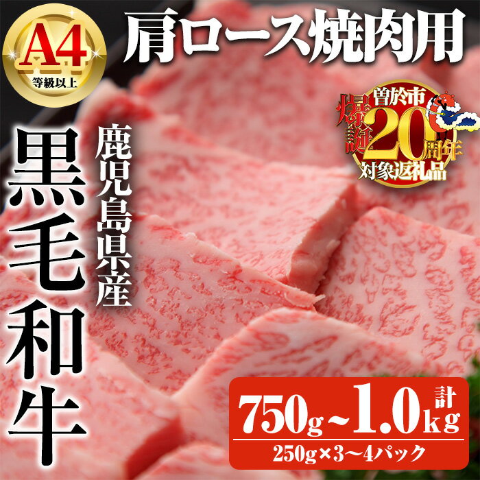【ふるさと納税】【数量限定】＜内容量が選べる！＞鹿児島県産黒毛和牛A4等級以上肩ロース焼肉用 (合計750g＋和牛スジ肉250g×1P・合計1.0kg＋和牛スジ肉250g×2P) 国産 鹿児島県産 牛 小分け 冷凍 牛肉 黒毛和牛 肩ロース 焼肉【ビーフ倉薗】