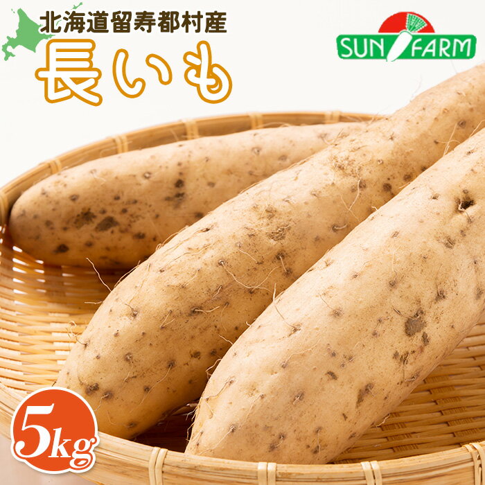 【ふるさと納税】先行予約 長いも 5kg ながいも 長芋 ナガイモ 長イモ オンライン 申請 ふるさと納税 北海道 留寿都 野菜 根菜 とろろ とろろいも トロロいも 産地直送 新鮮 採れたて 漬物 お好み焼き おかず 5キロ 留寿都村【2400602】
