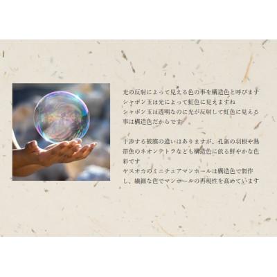 ふるさと納税 柏原市 チタン製ミニチュアマンホール・メダルセット【柏原市】ぶどう |  | 02