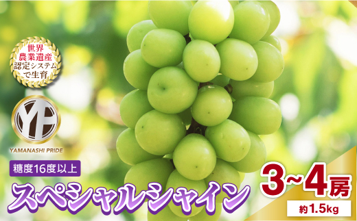 2026年度先行予約 フルーツ王国山梨産厳選 シャインマスカット 3～4房(約1.5kg)【配送不可地域：離島】