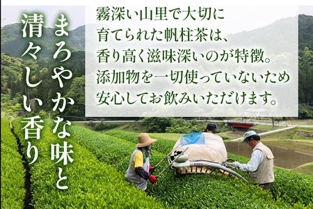 ＜銘茶みやこ町特産・帆柱茶＞上煎茶（100g×3袋）福岡県 お茶 日本茶 緑茶 お土産 伝統 茶葉