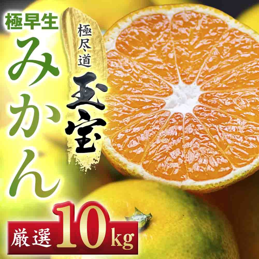 
                  ＜愛媛名産＞極早生みかん 10kg＜F64-20＞【1510675】 YWTY009
                