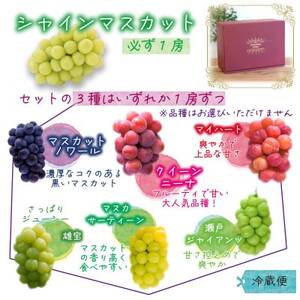 岡山　花笑み農園の『園主おすすめぶどう4種セット』(4房)贈答用　4M-2R上【9月下旬～順次発送】【配送不可地域：離島・北海道・沖縄県】【1626794】