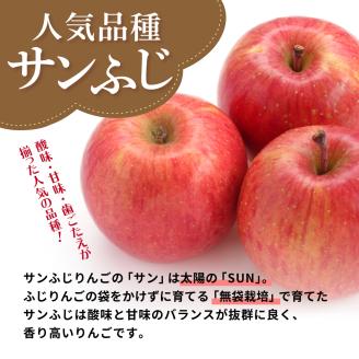 【2026年12月中旬発送】 【訳あり】 りんご 10kg サンふじ 青森 不揃い
