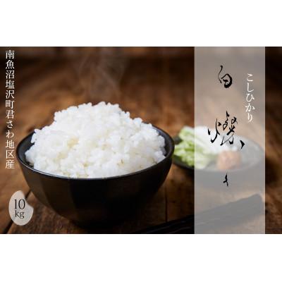 ふるさと納税 南魚沼市 【令和7年産新米】南魚沼君沢産こしひかり　白燦々10kg【玄米】(従来品種)