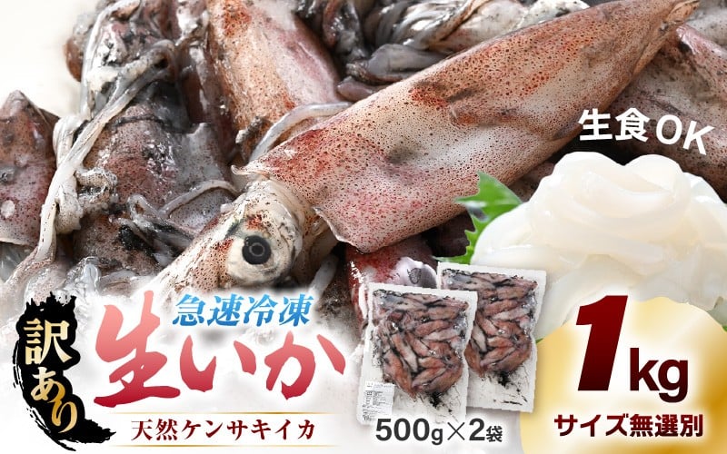 
            【ふるさと納税】【急速冷凍】【訳あり】生いか 天然ケンサキイカ サイズ無選別 1kg（500g × 2袋）定置網漁 皮むけ・サイズ不揃い【剣先いか 生イカ いか 白イカ いかめし いか焼き 姿焼き げそ 煮付け 海鮮 鮮魚 おつまみ】 [e15-a062]
          