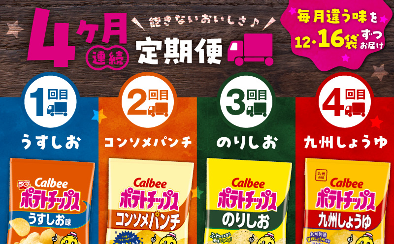 【4ヶ月定期便】カルビー ポテトチップス 食べ比べ4種【うすしお、コンソメパンチ、のりしお、九州しょうゆ】　K194-T01