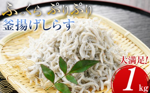 ふっくら、ぷりぷり 釜揚げ しらす 1kg(500×2パック)