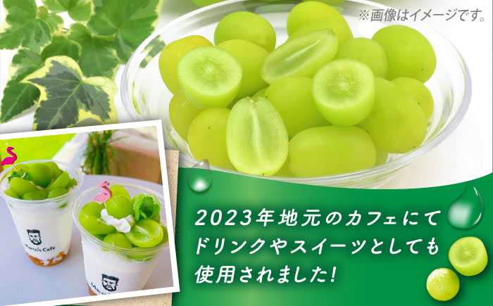 【数量限定】【口の中であふれる果汁】大粒 シャインマスカット 2房 1.4kg以上 / ぶどう ブドウ フルーツ 果物 / 南島原市 / 川田果樹園 [SFN001]