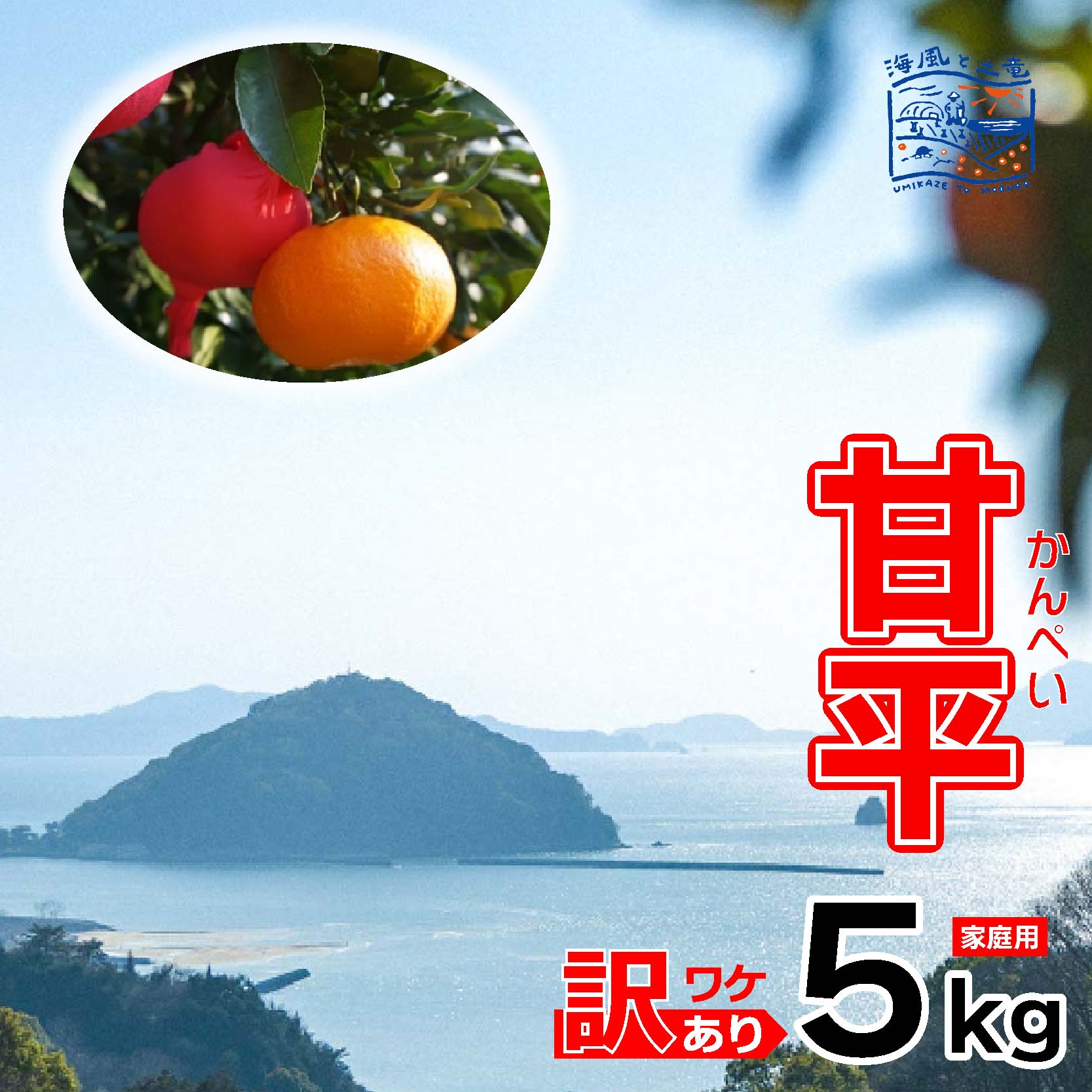 【ふるさと納税】 【2027年1月下旬頃から順次発送】 訳あり 甘平 家庭用 5kg｜産地直送 国産 柑橘 期間限定 数量限定 ご当地 愛媛県 松山市