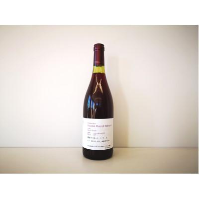 ふるさと納税 韮崎市 穂坂マスカット・ベーリーA キュベ 池田元気　750ml