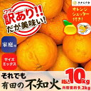 【ふるさと納税】不知火 訳あり それでも 有田の不知火 箱込 10kg (内容量約 9.2kg) サイズミックス和歌山県産 産地直送 【みかんの会】 | 果物 フルーツ 柑橘 かんきつ 和歌山 みかん 有田みかん デコポン 特産 くだもの 食品 人気 おすすめ 送料無料