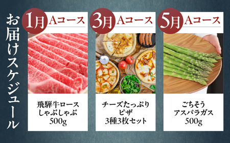 どやな まるごと定期便 Aコース 6回 飛騨市 牛肉 野菜 定期便