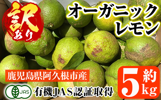 数量限定！有機JAS 訳ありオーガニックレモン(約5kg) 国産 訳あり レモン 檸檬 果実 果物 フルーツ 柑橘 デザート 期間限定 有機栽培 健康志向 【中村農場】a-9-9