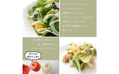 マヨール ゼロプラス　210g×10本セット　卵不使用 コレステロールゼロ マヨネーズ マヨネーズタイプ 健康ドレッシング ドレッシング 蒟蒻屋本舗 ヘルシー カロリーオフ ダイエット 送料無料 No