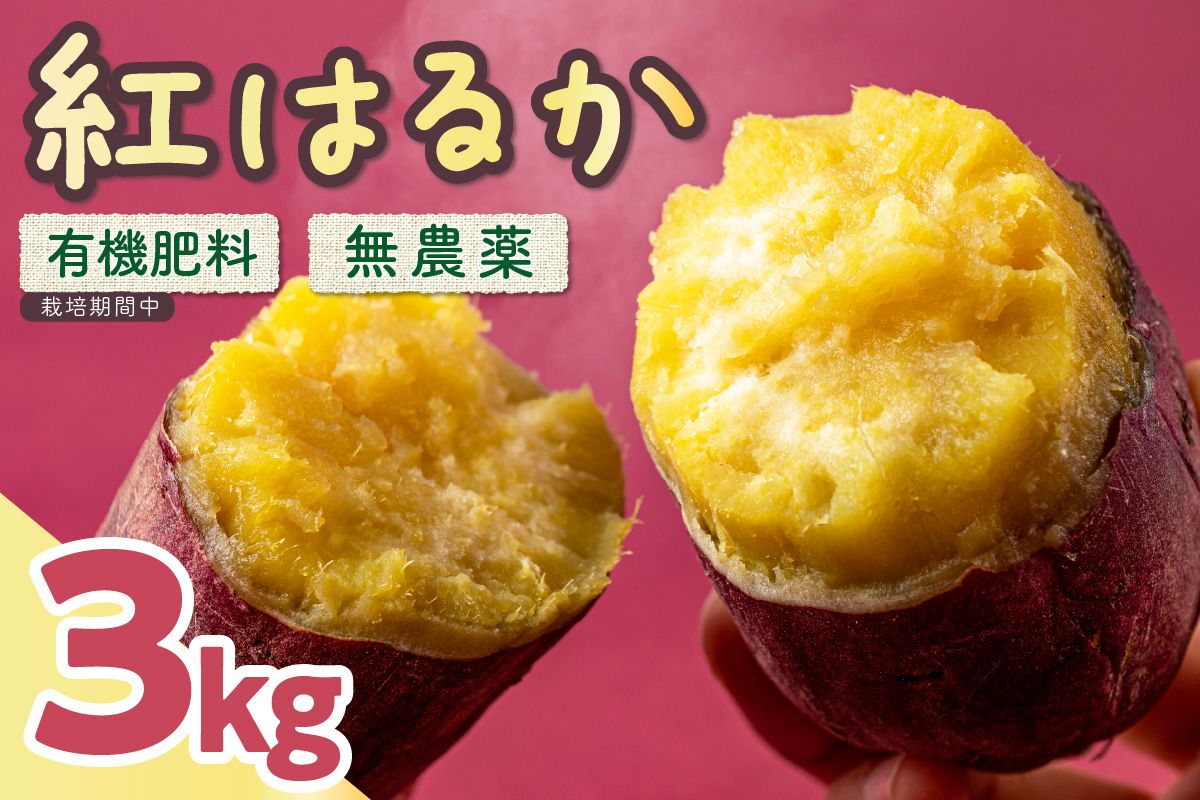 【数量限定50】農家直送 令和7年産　さつまいも3kgセット　芋 甘い ホクホク デザート 国産 紅はるか べにはるか サツマイモ さつま芋 薩摩芋 やきいも 焼芋 焼き芋 焼きいも 旬 土付き 栽培期間中 無農薬 有機肥料 農家応援 送料無料　SJ00008