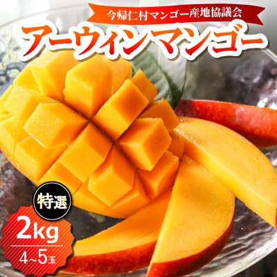 【2026年6月下旬から順次発送】今帰仁産の特選アップルマンゴー2kg(4～5玉)【配送不可地域：離島】
