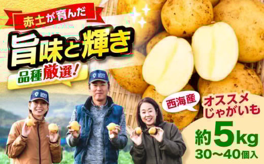 【先行予約】じゃがいも 勝田農園のおまかせ じゃがいも 約5kg（種類・サイズ混合） ジャガイモ ＜勝田農園＞ [CGM003] 長崎 西海 じゃがいも ぽてと jagaimo いも 芋 野菜 potato 産地直送 長崎 西海 ジャガイモ ポテト イモ にしゆたか 新鮮 芋 じゃがいも ホクホク じゃがいも おまかせ お取り寄せ 通販 野菜 サイズ混合 ジャガイモ ポテト とれたて 新じゃが