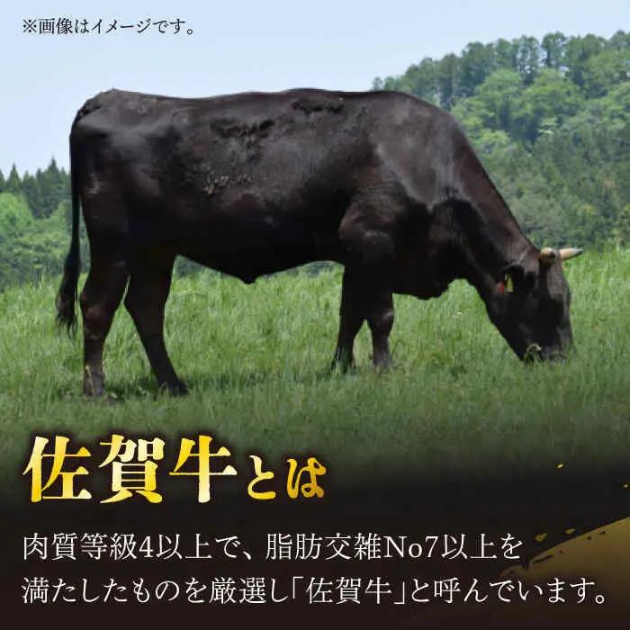 牛肉ロース薄切り 300g NAC025 牛肉ロース