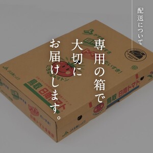 【期間限定】【北海道・離島へ発送不可】日南トマト(登録商標)　約4kg（20～24玉／箱） トマト とまと 鳥取県 日南町