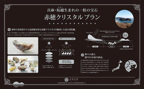  【夏も美味しい】牡蠣 坂越かき 赤穂クリスタルブラン20個（牡蠣ナイフ・軍手付き）[ 生牡蠣 かき カキ 殻付 生食 ]